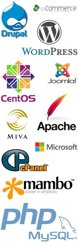 Web Hosting